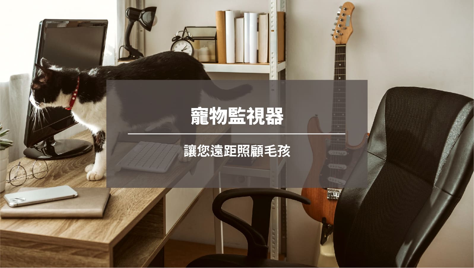 寵物監視器：讓您遠距照顧毛孩